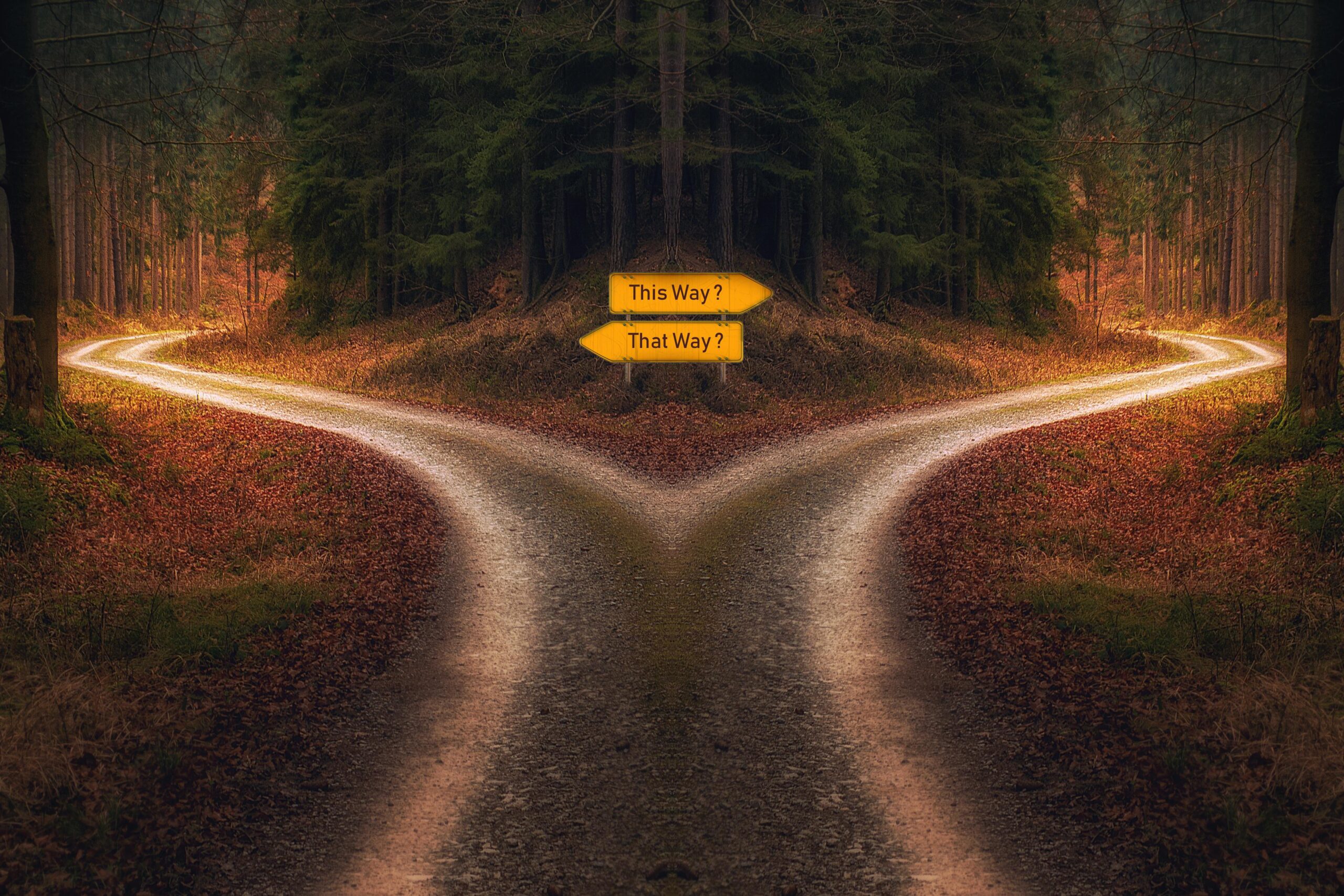 A road splitting into a fork